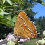 Andy Cullen - @andy.cullen - Instagram