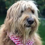 Andy Cupp - @alcupp2 - Instagram