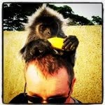 Andrew Curry - @andycurry - Instagram
