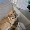 andycuthbert88 - @andycuthbert88 - TikTok