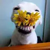 Andy Davis - @andydavis_0918 - TikTok