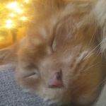 Andy Dickerson - @dickanderson29 - Instagram