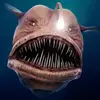 andydiehl - @sr.drewnis - TikTok
