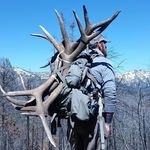 andy dill - @deadeyedill - Instagram