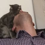 Andy Dillon - @andydillon64 - Instagram