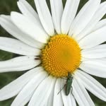 Andy Dodd - @andydoddphotography - Instagram