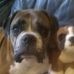 Andrew Doughty - Facebook