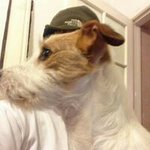Andy Doughty - @andy.doughty.58 - Instagram