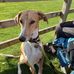 Andy Doughty - Facebook