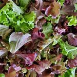 Andy Douglas - @crossroadfarmandgardenllc - Instagram