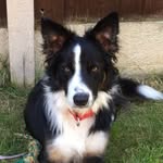 Andy Doyle - @doyleyboy22 - Instagram