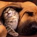 Andy Drexler - Facebook