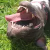 Andy Dubois - @andy.76000 - TikTok
