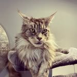 Andy Duffin - @aduffin190968 - Instagram