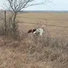 Andy Duncan - @andy.duncan49 - TikTok