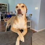 Andy Eckstein - @andy_eckstein - Instagram