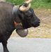 Andy Eder - Facebook