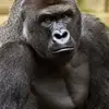 Andy Edgar - @andy.edgar6 - TikTok