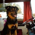 Andy Entwistle - @andy.entwistle - Instagram