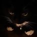 Andi Etherton - Facebook