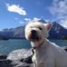 Andy Fidler - Facebook