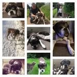 Andrea @ Flannery - @andrea.flannery1965 - Instagram