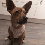 Andrea Fleischmann - @szanyi1958 - Instagram