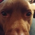 andy floyd - @j_a_floyd - Instagram