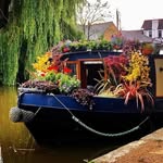 Andy Foley - @canalside_plants - Instagram