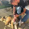 andylukeforeman - @andylukeforeman - TikTok