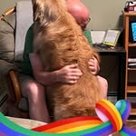 Andy Forster - @andy.forster.39 - Instagram