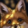 andy_fox_143 - @andy_fox_143 - TikTok