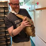 Andy Fox - @__andy_fox - Instagram