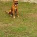 Andy Frederick - Facebook