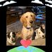 Andy Friedman - Facebook