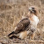 AndyGaffney - @andygaffney666 - Instagram