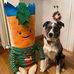 Andrew Gallagher - Facebook