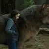 Andy Gentz - @andy.gentz - TikTok