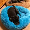 Andy Gentzsch - @andygentzsch - TikTok