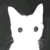Andi Gercak - @andi.gercak1 - TikTok