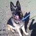 Andy Gerlach - Facebook
