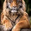 @andy Geronimo - @andy.gero - TikTok