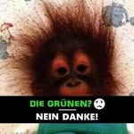 Andy Geß - @andygess - Instagram
