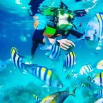 Andy Get'z - @andysagitarius11 - Instagram