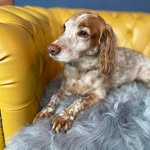 Andrew Giblin - @andygiblin79 - Instagram