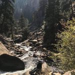 Andrew Giddens - @drewbiedrewbers - Instagram