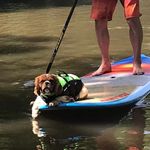 Andy Gifford - @andy.gifford1959 - Instagram