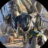 Randy Gilchrist - @randy.gilchrist7 - TikTok