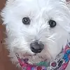 Andy Giles - @andy.giles17 - TikTok