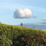 Andy Giles - @finnley.giles.1481 - Instagram